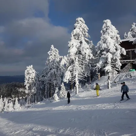 Ferienresidenz-an-der-bode-wohnung-2