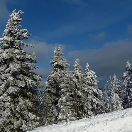 Ferienresidenz-an-der-bode-wohnung-2 דירה