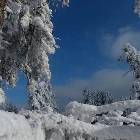Ferienresidenz-an-der-bode-wohnung-2 בראונלאגה