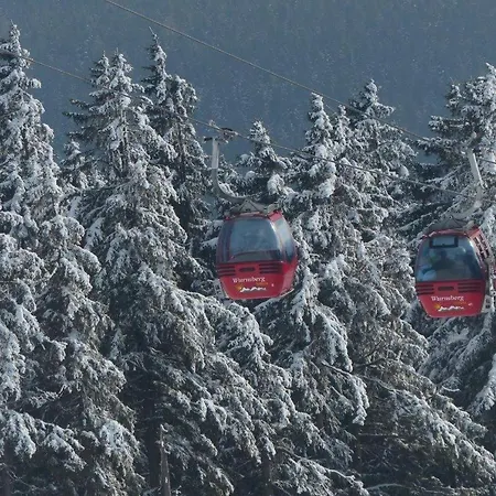 Ferienresidenz-an-der-bode-wohnung-2
