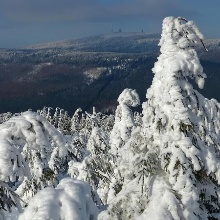 Ferienresidenz-an-der-bode-wohnung-2 דירה *