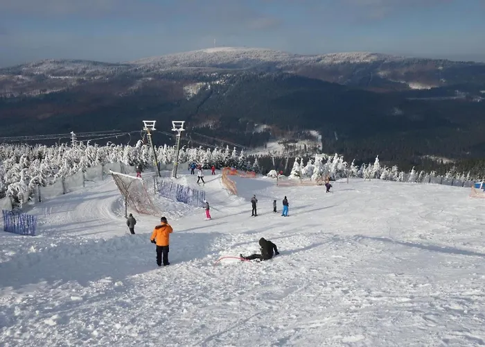 公寓 Ferienresidenz-an-der-bode-wohnung-2 布劳恩拉格