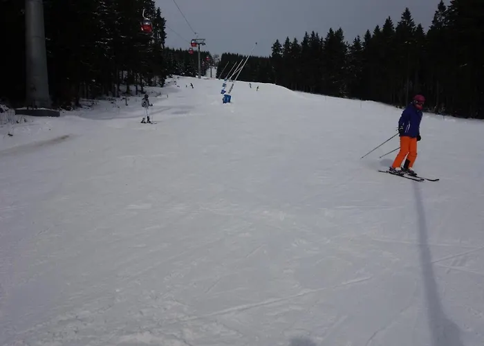 公寓 Ferienresidenz-an-der-bode-wohnung-2 *