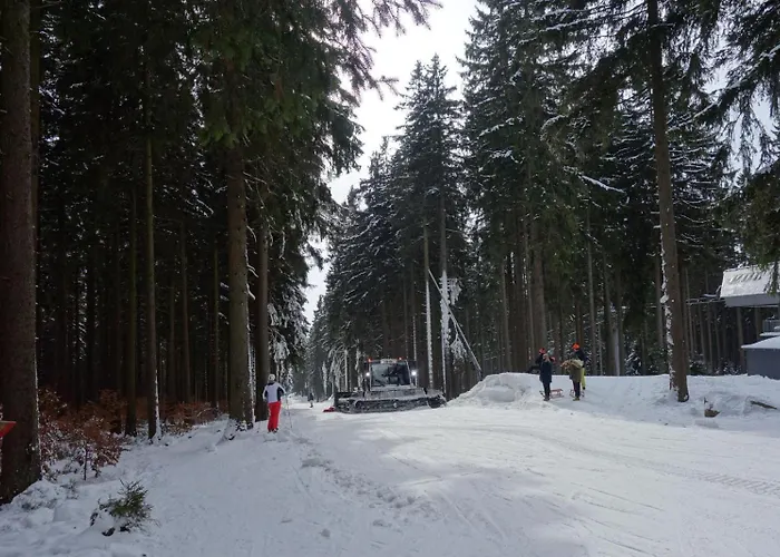 公寓 Ferienresidenz-an-der-bode-wohnung-2