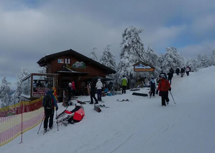 Ferienresidenz-an-der-bode-wohnung-2