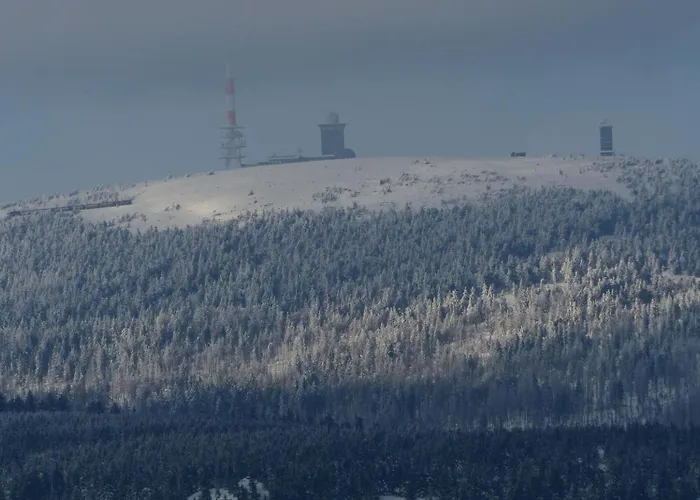 公寓 Ferienresidenz-an-der-bode-wohnung-2 布劳恩拉格