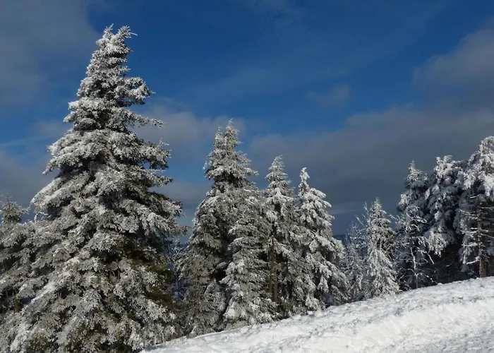 Ferienresidenz-an-der-bode-wohnung-2 公寓