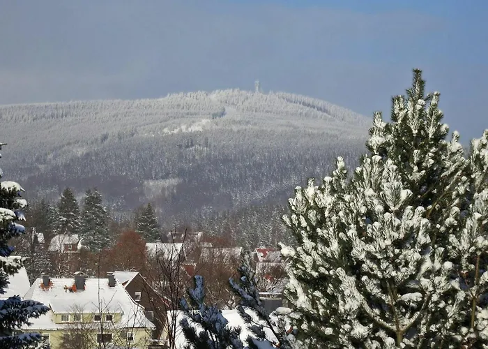 Ferienresidenz-an-der-bode-wohnung-2 *