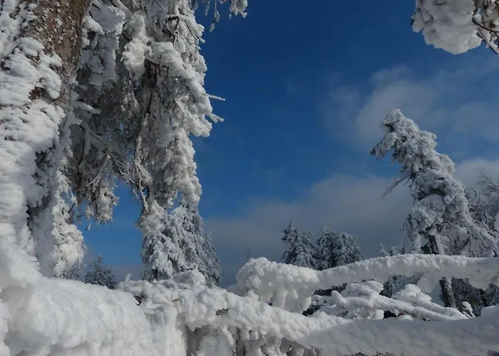 Ferienresidenz-an-der-bode-wohnung-2 布劳恩拉格