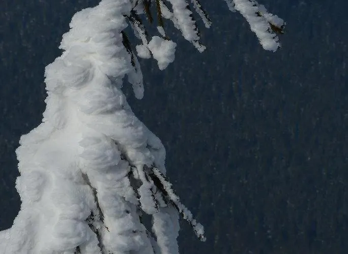 Ferienresidenz-an-der-bode-wohnung-2 布劳恩拉格