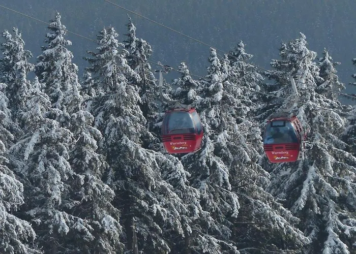 Ferienresidenz-an-der-bode-wohnung-2