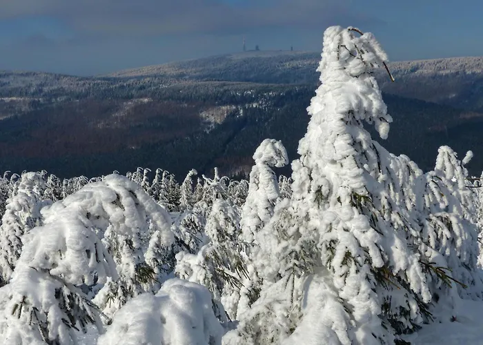 Ferienresidenz-an-der-bode-wohnung-2 公寓 *